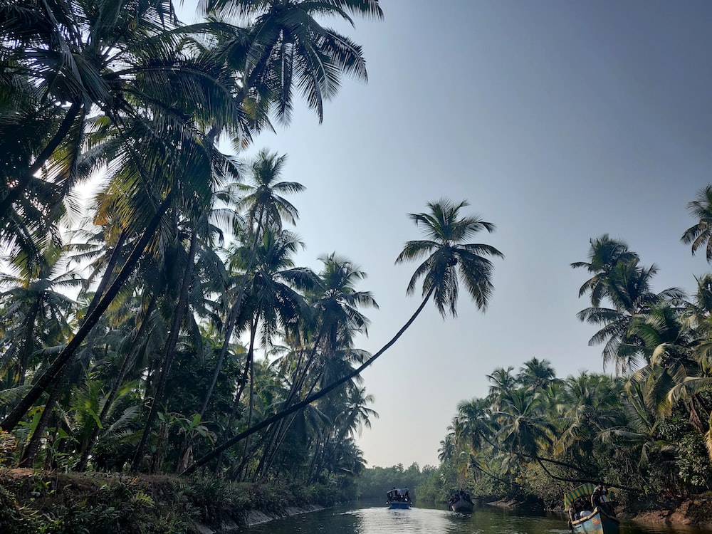 Gods Own Country